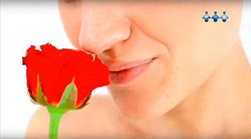 Procedimento cirgurgico