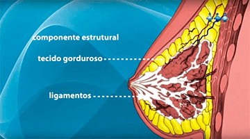 Procedimento cirgurgico
